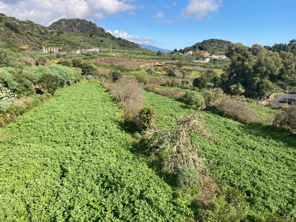 Casa Monterrey Tres Βίλα Mazo Εξωτερικό φωτογραφία